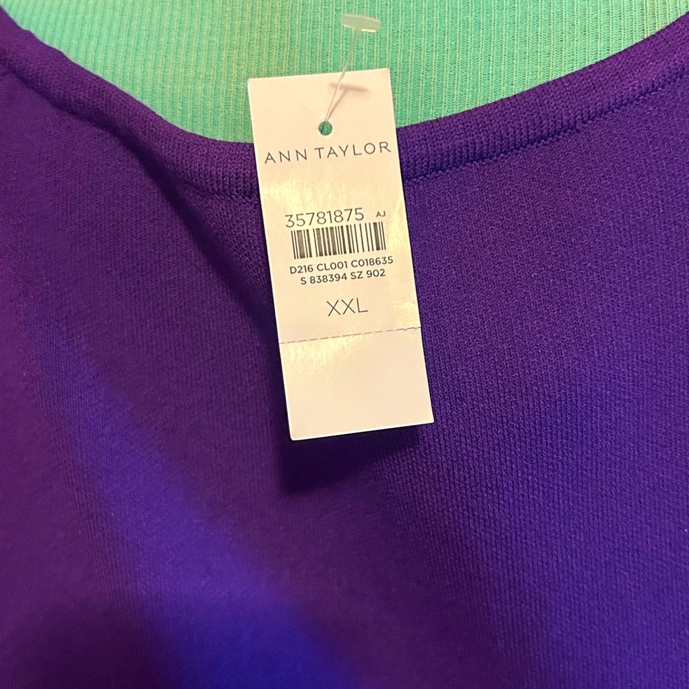 Ann Taylor Scuba Dress